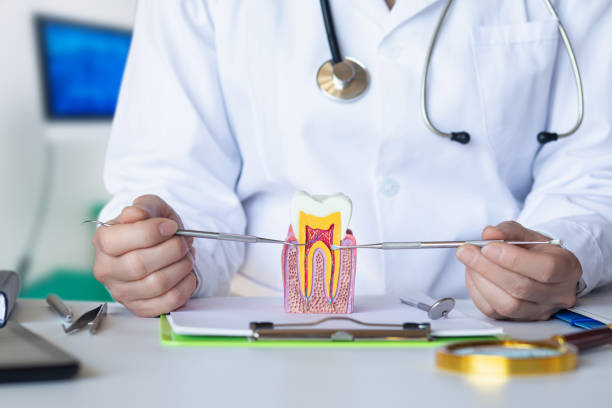 Best Emergency Dental Care for Broken or Chipped Teeth in Harvey, MI